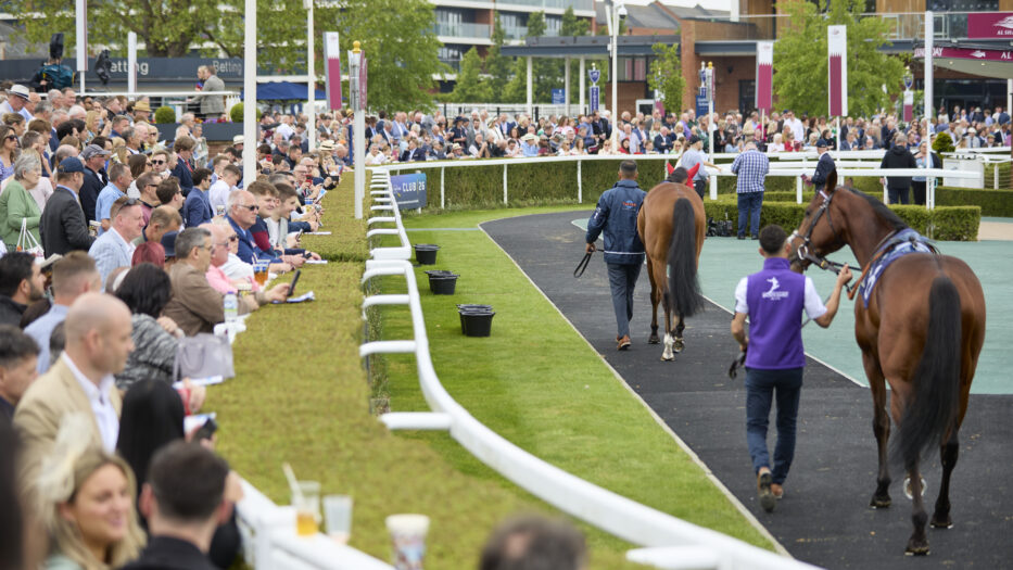 BoyleSports Lockinge Day Guide