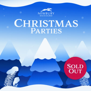 Christmas Joiner Party Website Graphics 05